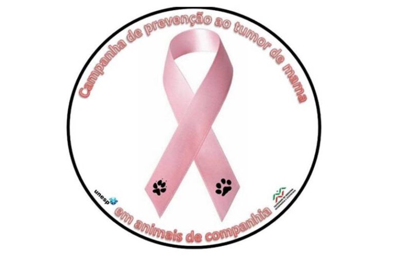 Campanha em Botucatu alerta sobre câncer de mama em cadelas e gatas