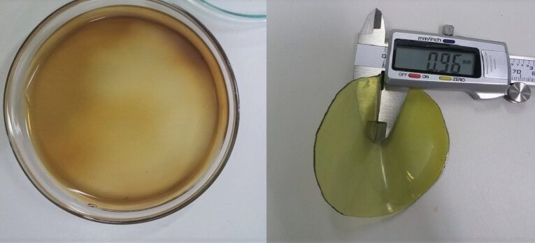 Biomaterial desenvolvido pela Unesp vai tratar incontinência de mães com diabetes na gestação