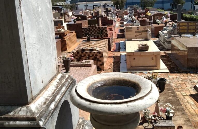 Botucatu: Vigilância identifica vasos no Cemitério com água parada e realiza ação contra a dengue