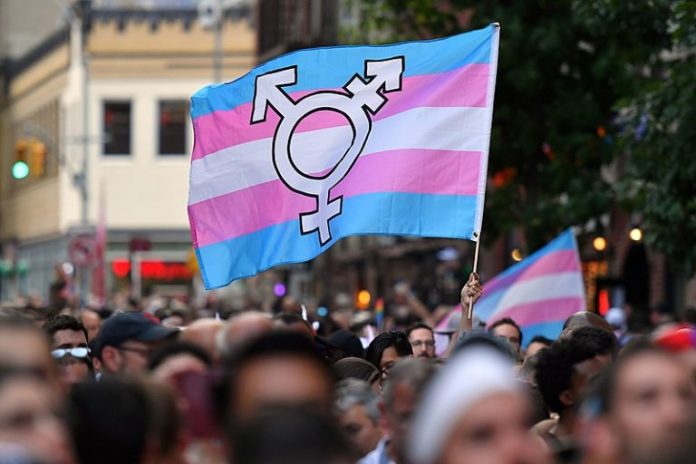 Estudo da Unesp de Botucatu revela que Transgêneros e Não Binários são 2% dos brasileiros
