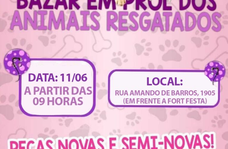 Bazar em Botucatu vai arrecadar fundos para animais resgatados em junho