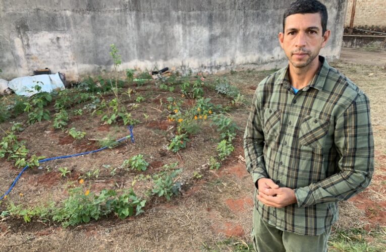 Centro de Saúde Escola inaugura horto medicinal na Vila Ferroviária