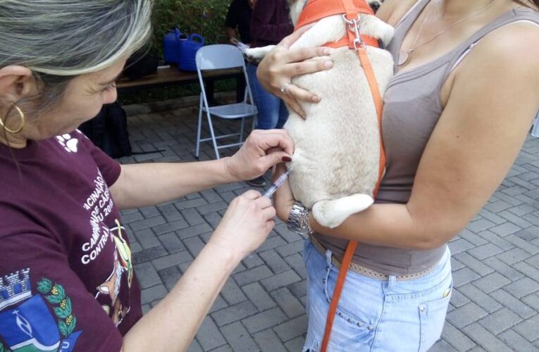 Unesp e Prefeitura farão ação com animais pets em Rubião Júnior nos dias 13 e 14