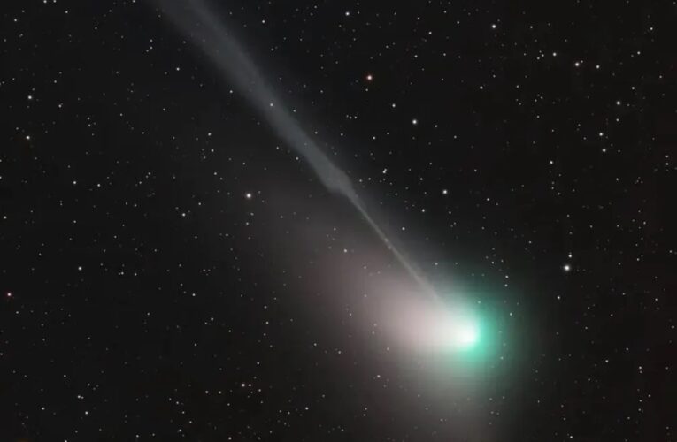 Cometa verde passará pela terra e poderá ser visto no Brasil a partir desta quarta-feira, dia 01