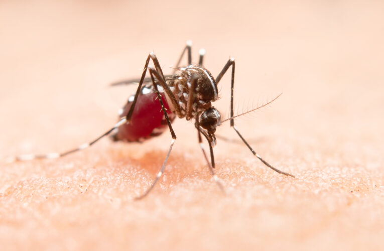 Vigilância Ambiental em Saúde alerta para casos de Dengue na região norte de Botucatu