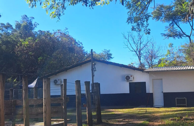 Botucatu terá “Canil de Portas Abertas”, no domingo (29)