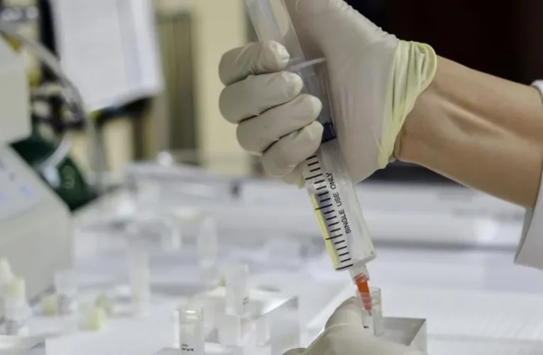 Novo tratamento pode eliminar necessidade de insulina em pacientes com diabetes tipo 1