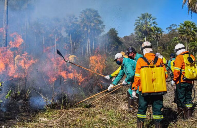 Governo quer usar R$ 150 milhões do Fundo Amazônia para combater incêndios no Cerrado e Pantanal