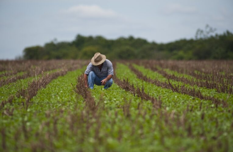 Sebrae-SP abre inscrições para programa gratuito de inovação rural na região de Botucatu