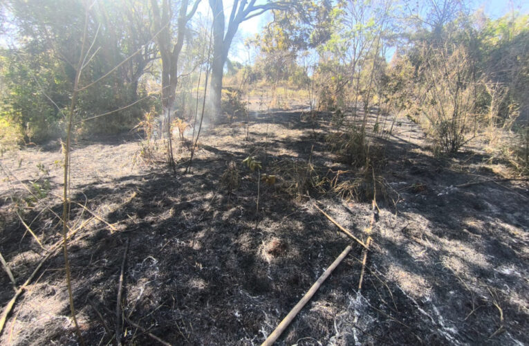 Bombeiros controlam incêndio que atingiu 2 mil metros quadrados de vegetação em Botucatu