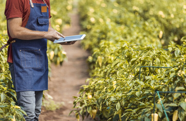 Sebrae-SP abre inscrições para programa gratuito de inovação rural na região de Botucatu