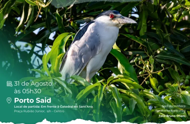 Ação de observação de aves será no Port Said no domingo (31)