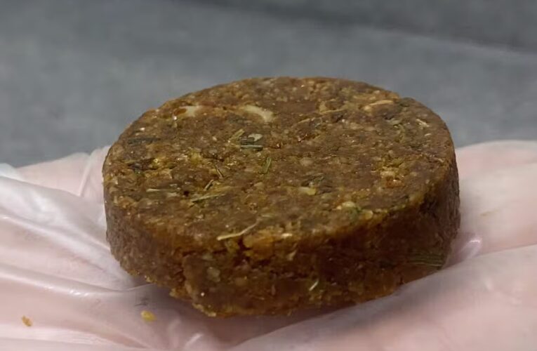Pesquisadores criam ‘carne’ vegana com farinha de girassol: rica em proteína, ferro e sustentável
