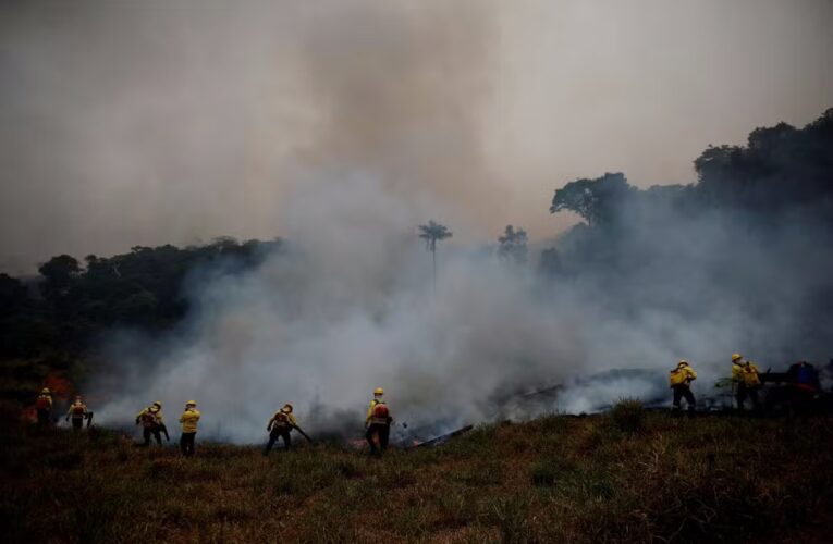 Fumaça das queimadas pode causar 1,4 milhão de mortes por ano até 2100, diz estudo