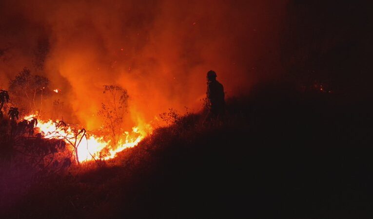 Incêndio atinge área de vegetação na rod. Gastão Dal Farra