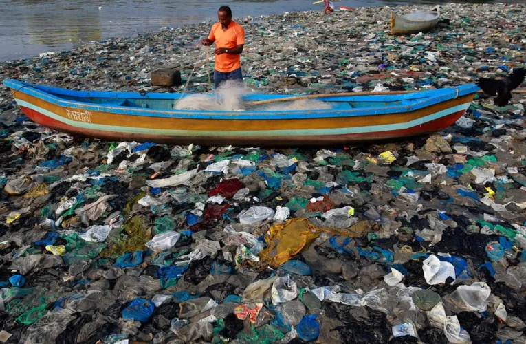 Sabia que o seu copinho descartável pode ir parar no oceano? Veja quanto tempo leva para cada item se decompor