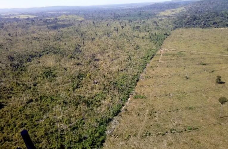 Por que preservar a Amazônia é importante para o clima do planeta?