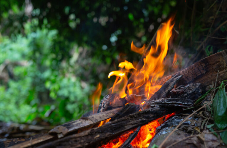 Incêndios atingem áreas próximas à Fazenda Lageado em Botucatu