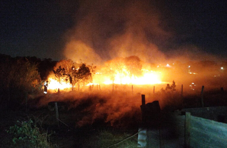 Incêndio atinge Parque dos Pinheiros na noite de quarta-feira (03)