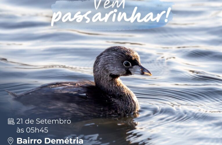 Botucatu realiza edição especial do “Vem Passarinhar” no bairro Demétria