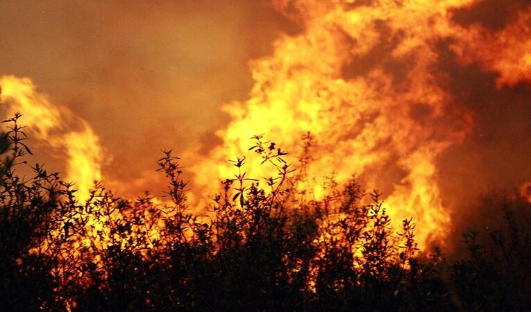 Estiagem e forte calor continuam causando casos frequentes de queimadas no Município de Botucatu