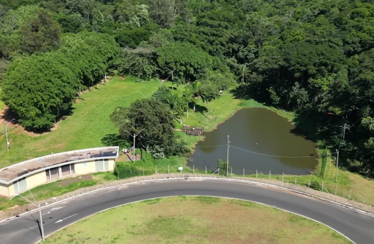 Feira do Verde 2025: confira a programação do final de semana