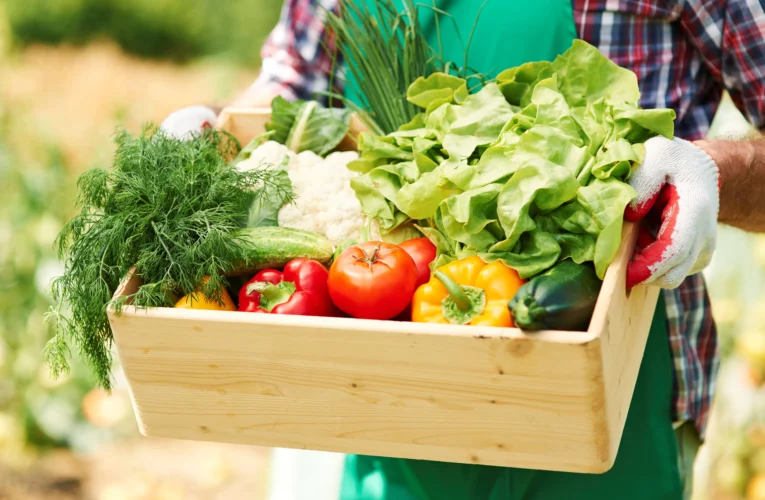 Banco de Alimentos de Botucatu comemora 10 anos de atuação