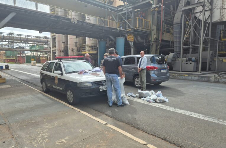 Polícia Civil incinera cerca de 90 quilos de drogas apreendidas na região de Botucatu