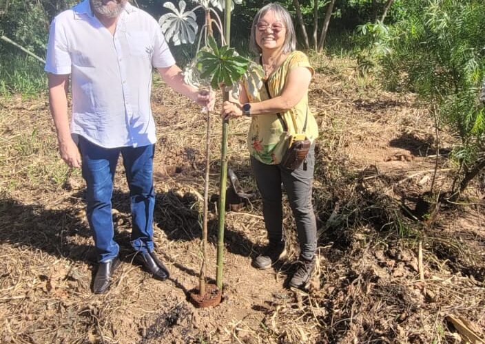 Projeto de extensão do IBB/Unesp promove plantio de árvores e educação ambiental na escola EMFEI Hernani Donatto de Botucatu