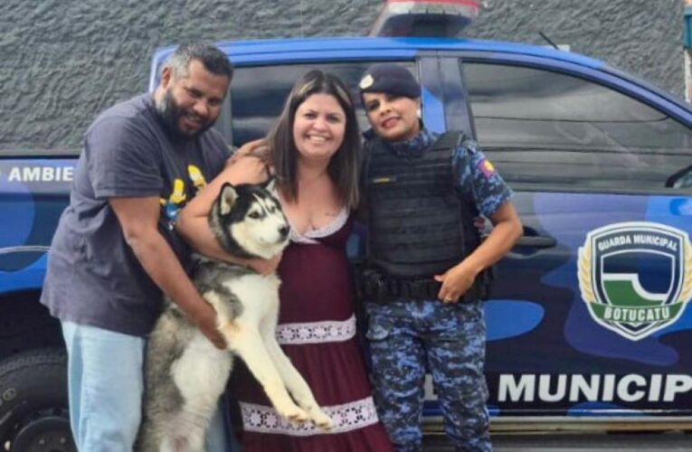 Guarda civil de folga localiza cão que estava sumido há dias