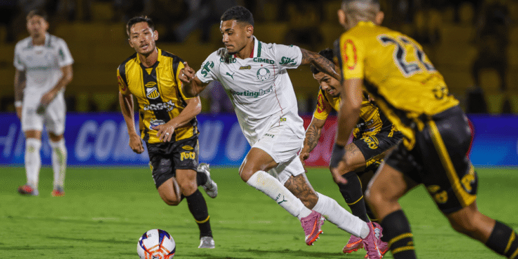 Palmeiras e Novorizontino começam a decidir o Paulistão nesta quarta