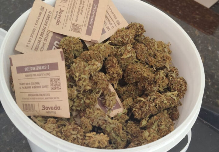 Polícia Civil apreende quase 11 kg de drogas em operação na região de Botucatu