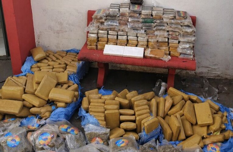 Maior apreensão de drogas da história de Botucatu: mais de 380 kg são retirados de circulação em operação da DISE