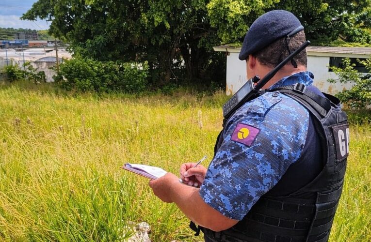 Câmeras da Muralha Virtual identificam descarte irregular no Parque Marajoara