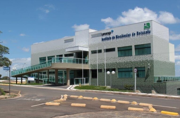 Unesp Botucatu seleciona professor substituto com salário de até R$ 3,3 mil
