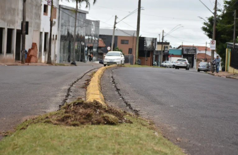 Avenida Vital Brasil recebe revitalização dos canteiros centrais