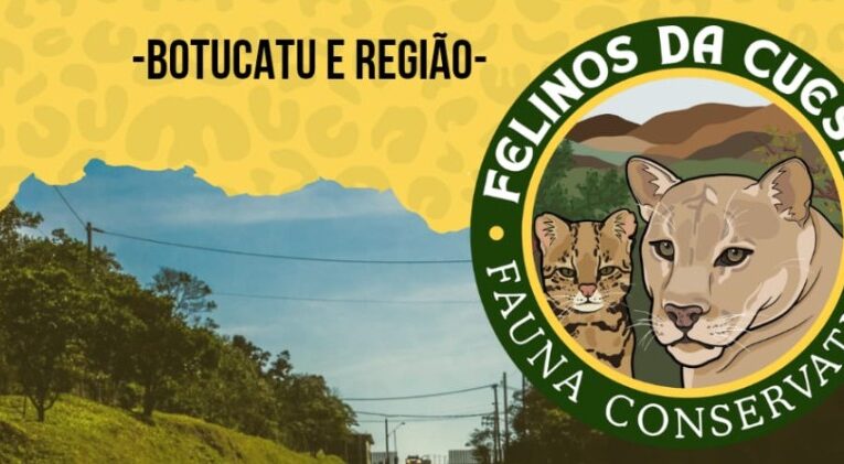 Felinos da Cuesta monitora áreas críticas de atropelamento de fauna em Botucatu
