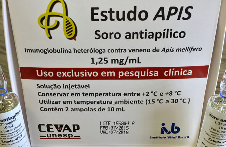 Botucatu avança em pesquisa inédita de soro contra picadas de abelhas africanizadas