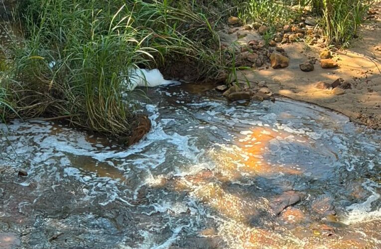Cetesb multa empresa de Botucatu em R$192 mil após vazamento químico causar espuma e matar peixes